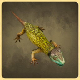 Lizard icon