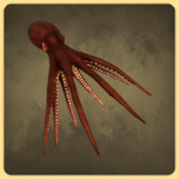 Octopus icon