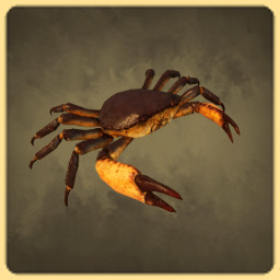 Crab icon