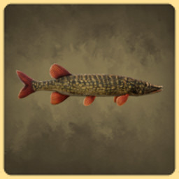Pike icon