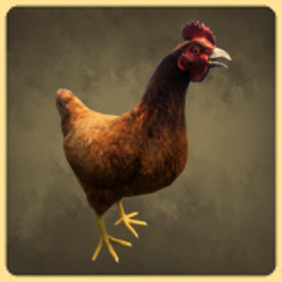 Chicken icon
