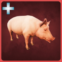 Domestic Pig icon