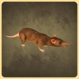 Rat icon