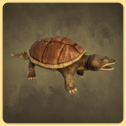 Snapping Turtle icon