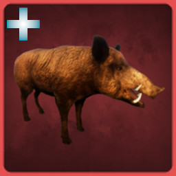 Wild Boar icon