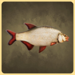 Redeye Bass icon