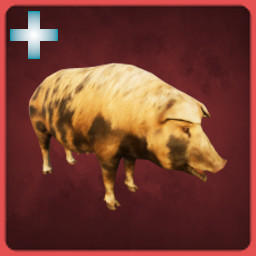 Pig icon