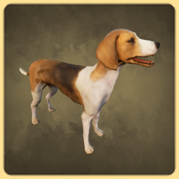 Hellenic Hound icon