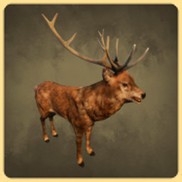 Stag icon