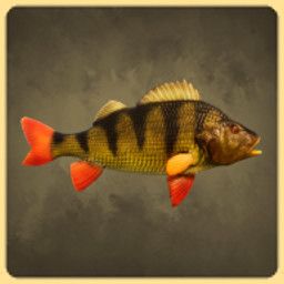 Perch icon