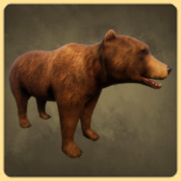 Bear icon
