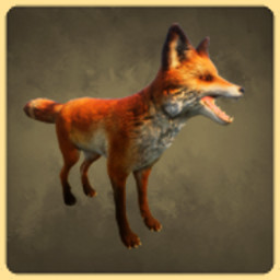 Fox icon