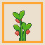 Organic Feeding icon