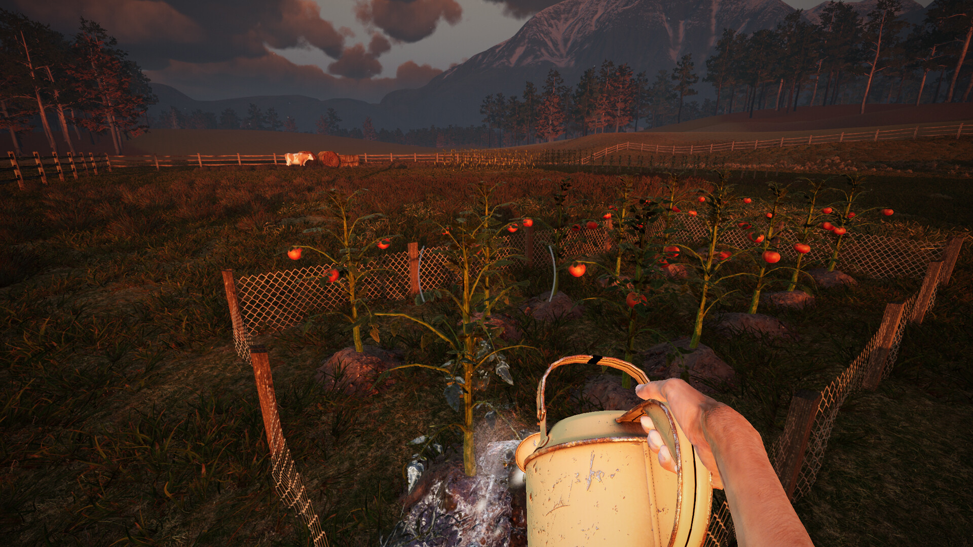 We Harvest Shadows Screenshot 2