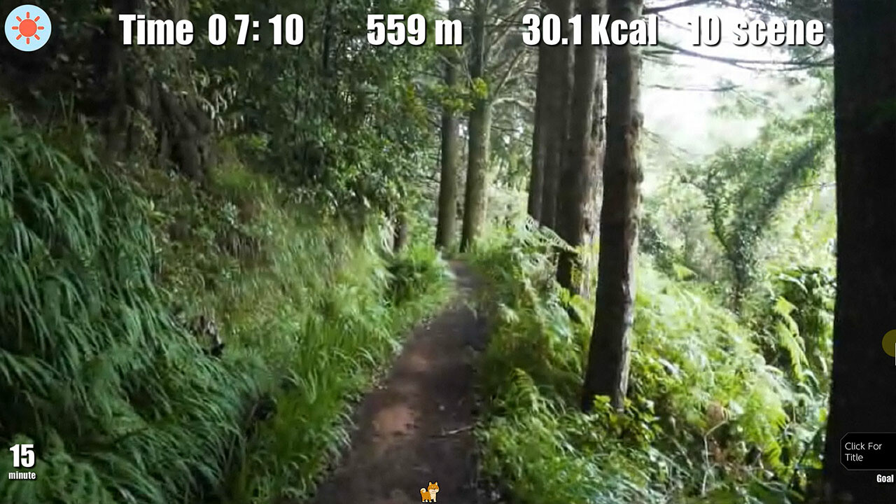 Walking with Diet Screenshot 3