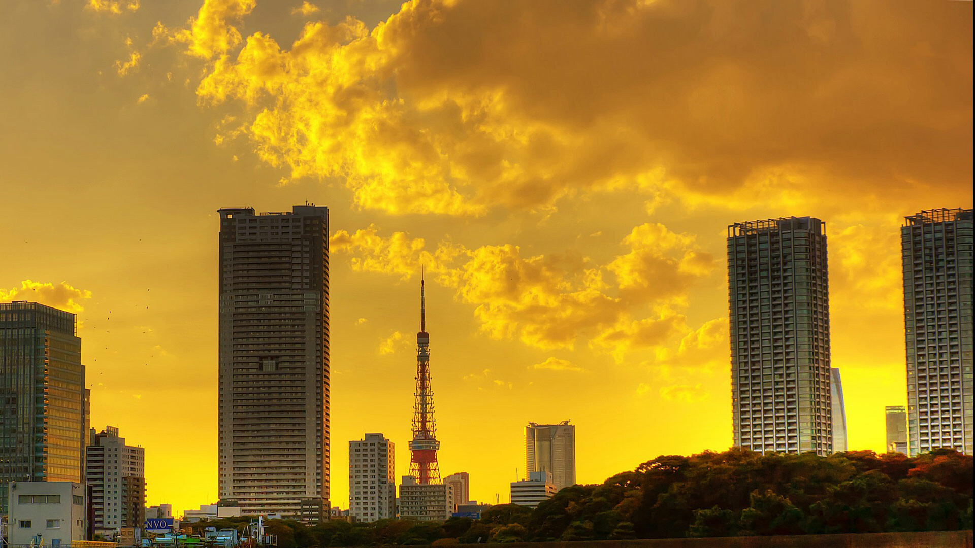 Tokyo Girls Chronicle Screenshot 5