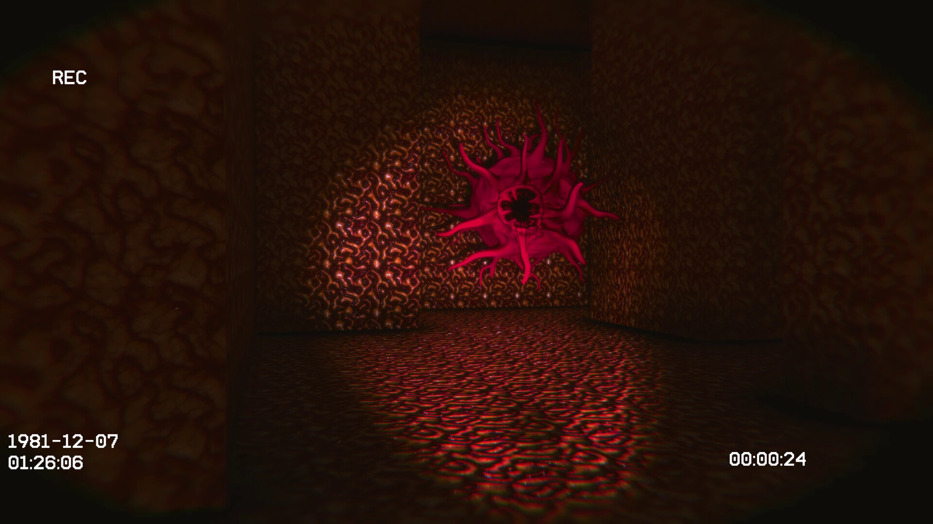 VOID81: The Backrooms Screenshot 7