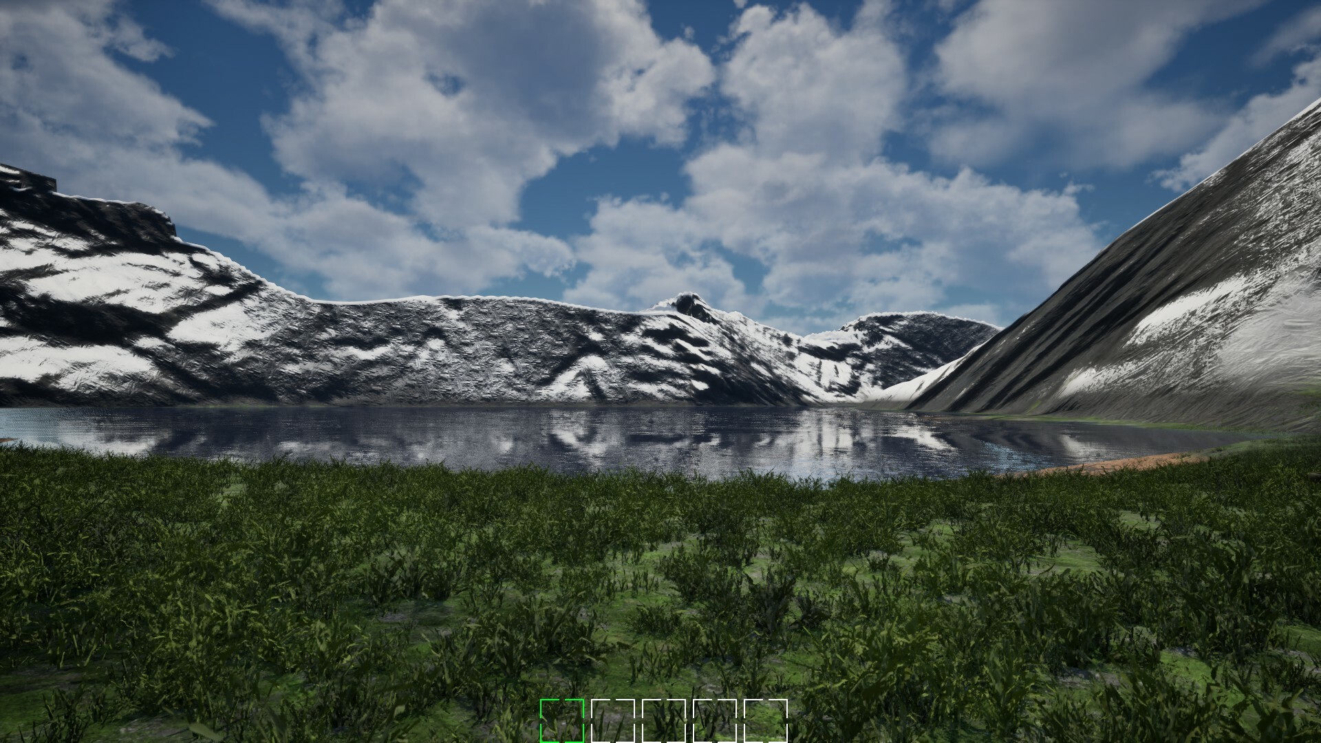 Mushroom Selection 2 Screenshot 4