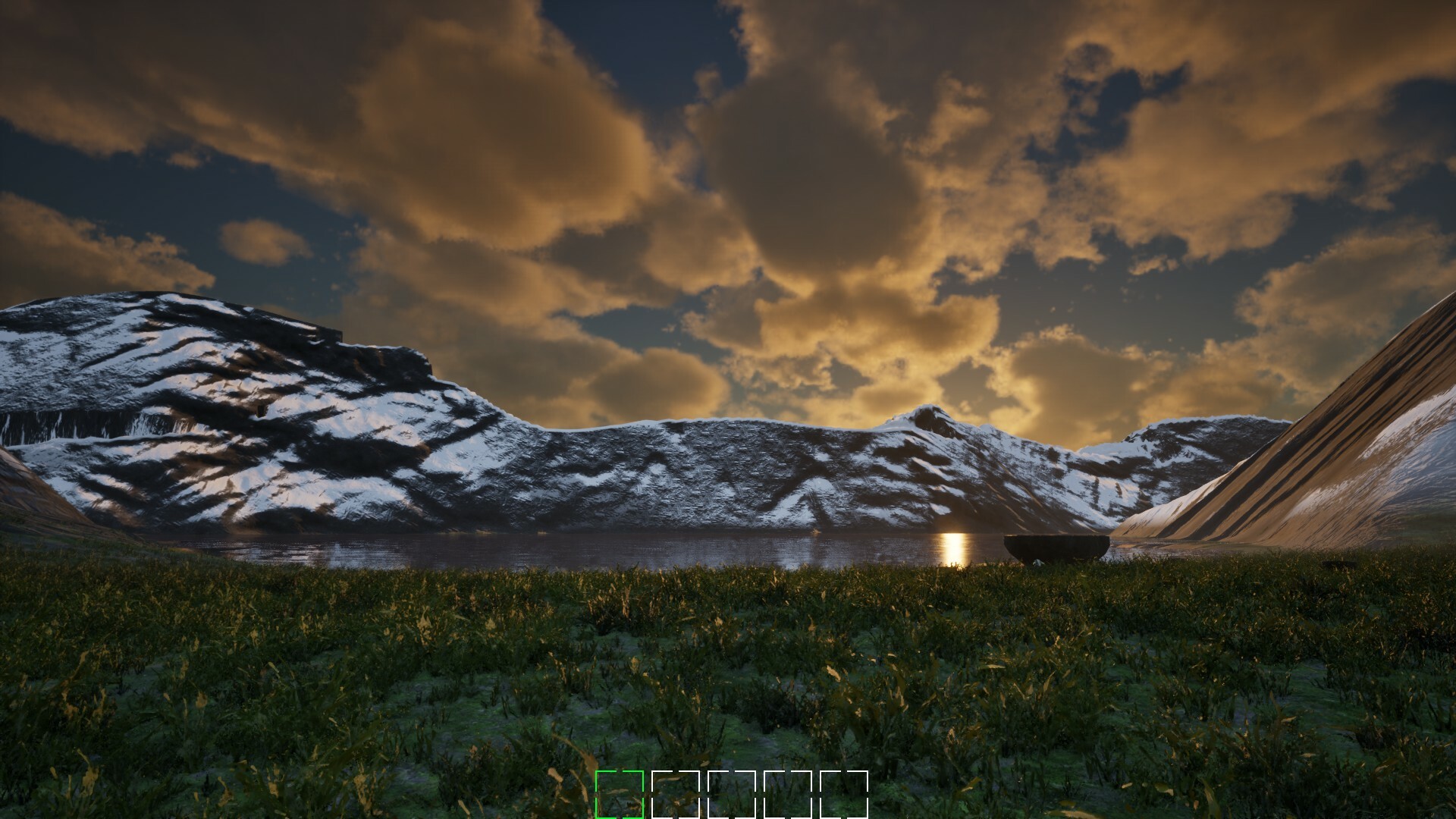 Mushroom Selection 2 Screenshot 0