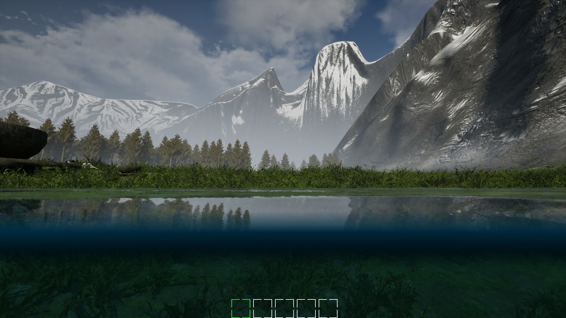 Mushroom Selection 2 Screenshot 1