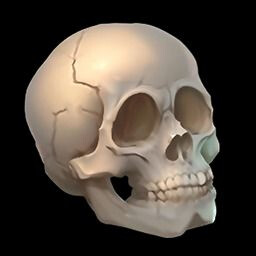 Skull and Bones icon