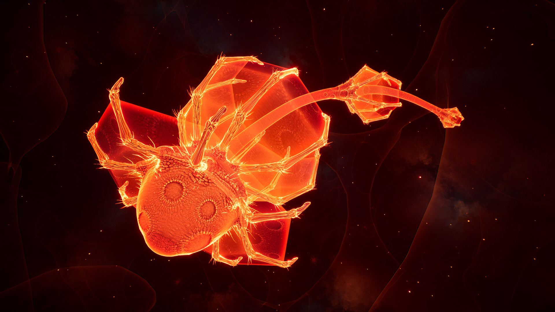 Lifecycles of the Traveler Spider Screenshot 2