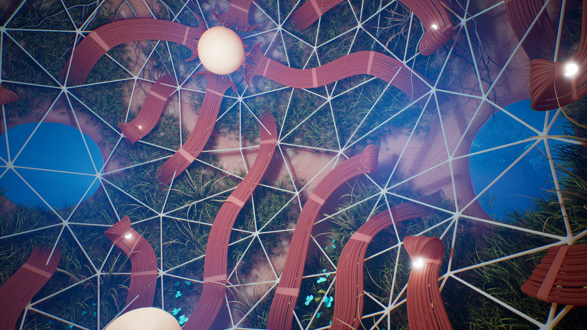 Lifecycles of the Traveler Spider Screenshot 0