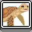 Turtle icon