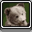 Bear Cubs icon