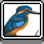 Kingfisher icon