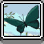 Butterfly icon
