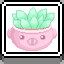 Succulent icon