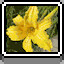 Daffodil icon