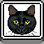 Black Cat icon
