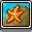 Starfish icon