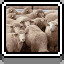 Sheep icon