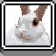 Bunny icon