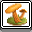 Jack-o'-lantern Mushroom icon