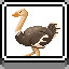 Ostrich icon
