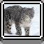 Snow Leopord icon