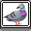 Pigeon icon