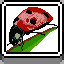 Ladybug icon