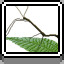 Stick Bug icon