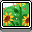 Flower Field icon