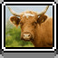 Cow icon