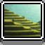 Rice Fields icon
