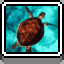 Turtle icon