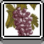 Grapes icon