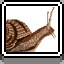 Snail icon