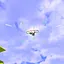 GG icon